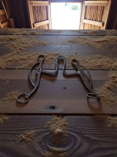 Antiguo Freno Bocado Caballo Hierro Forjado Criollo, foto 4